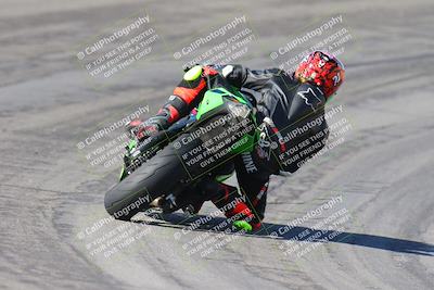 media/Feb-04-2024-SoCal Trackdays (Sun) [[91d6515b1d]]/4-Bowl Backside (11am)/